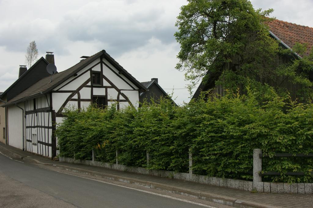 Authentiek Eifelhuis Villa Hecken Habitación foto